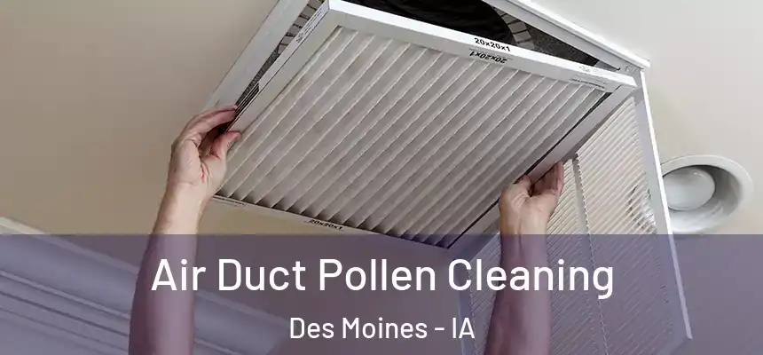Air Duct Pollen Cleaning Des Moines - IA