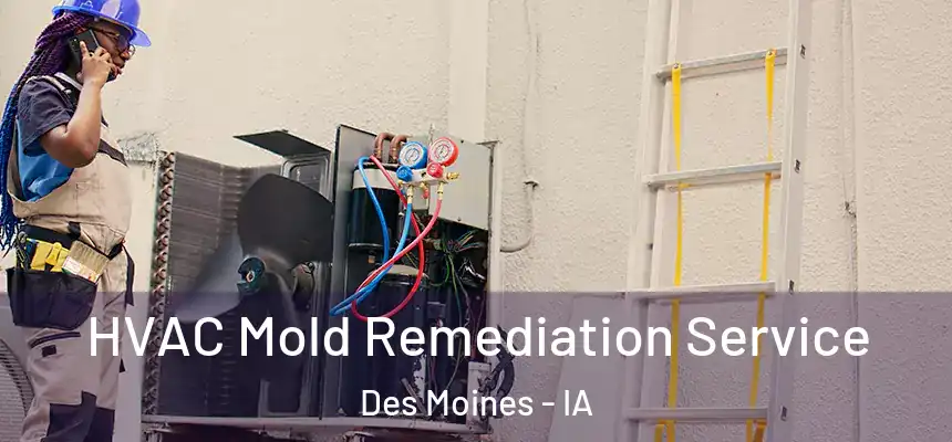  HVAC Mold Remediation Service Des Moines - IA