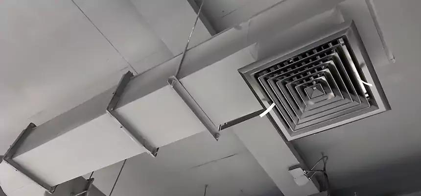 Our Pest Removal From Ducts Services in Des Moines, IA