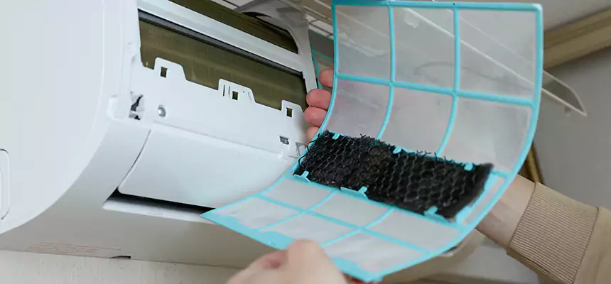 Gentle Ductwork Odor-Control Pet Dander Duct Cleaning in Des Moines, IA