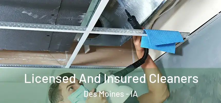 Licensed And Insured Cleaners Des Moines - IA