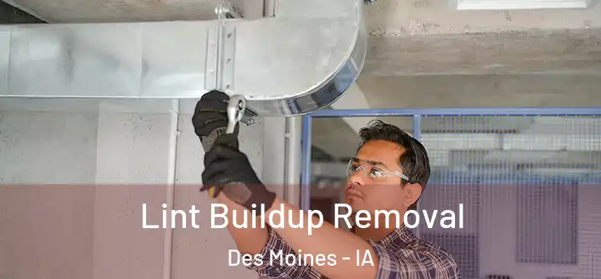 Lint Buildup Removal Des Moines - IA