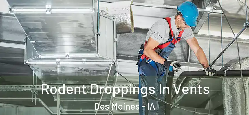 Rodent Droppings In Vents Des Moines - IA