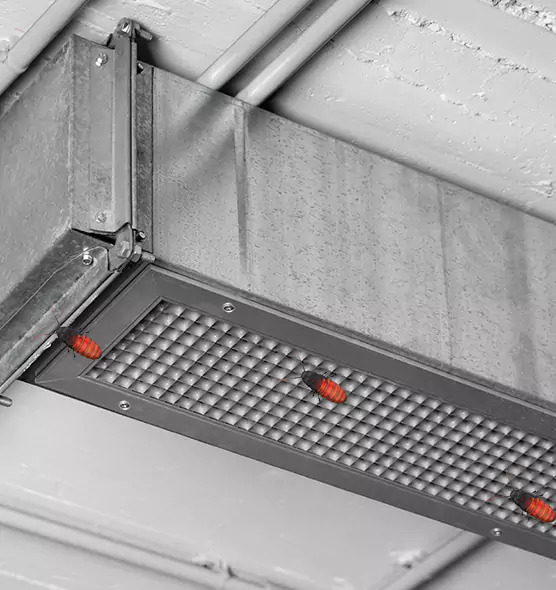 About Air Duct Cockroach Removal in Des Moines, IA